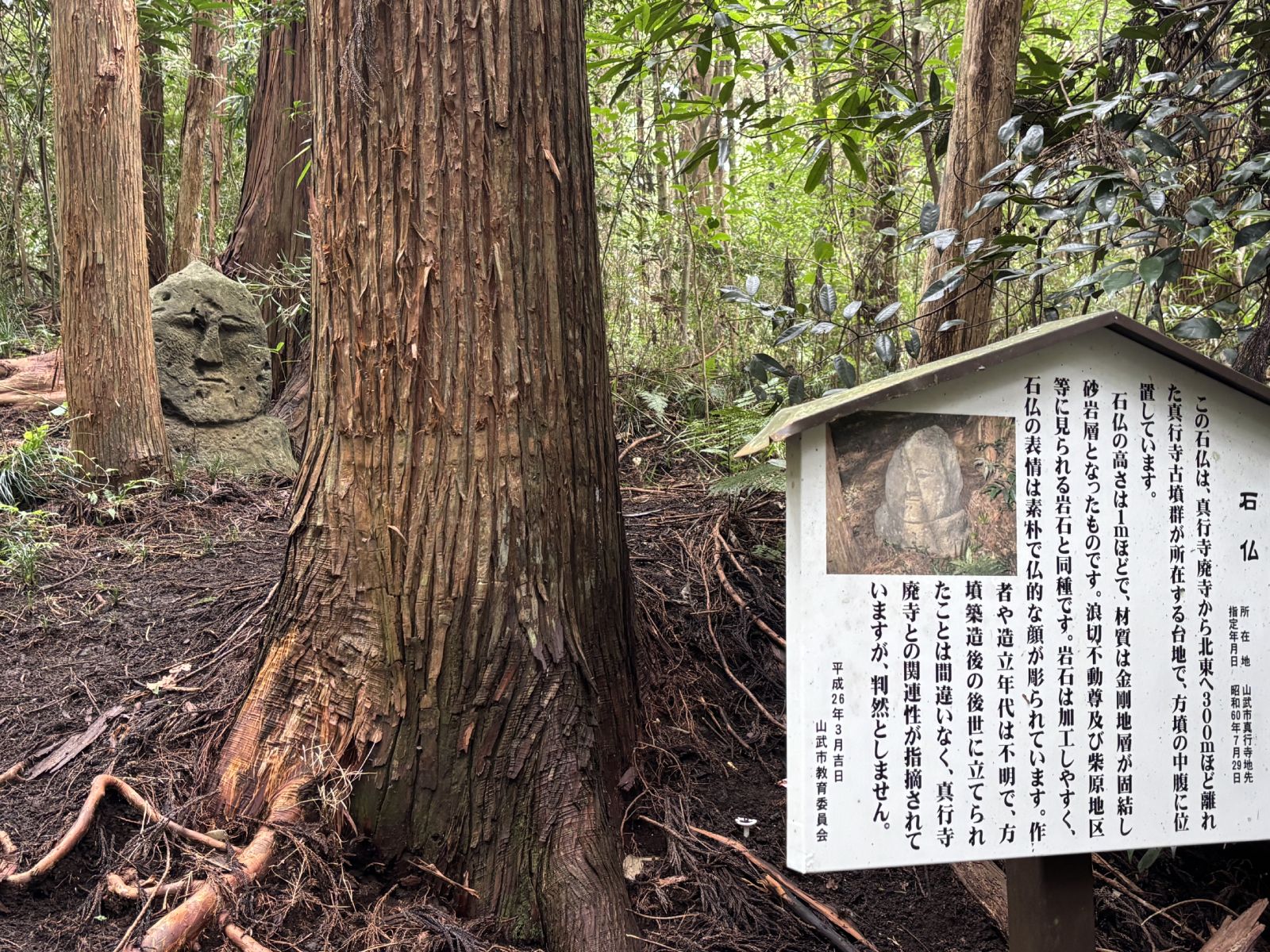 山武市　石仏